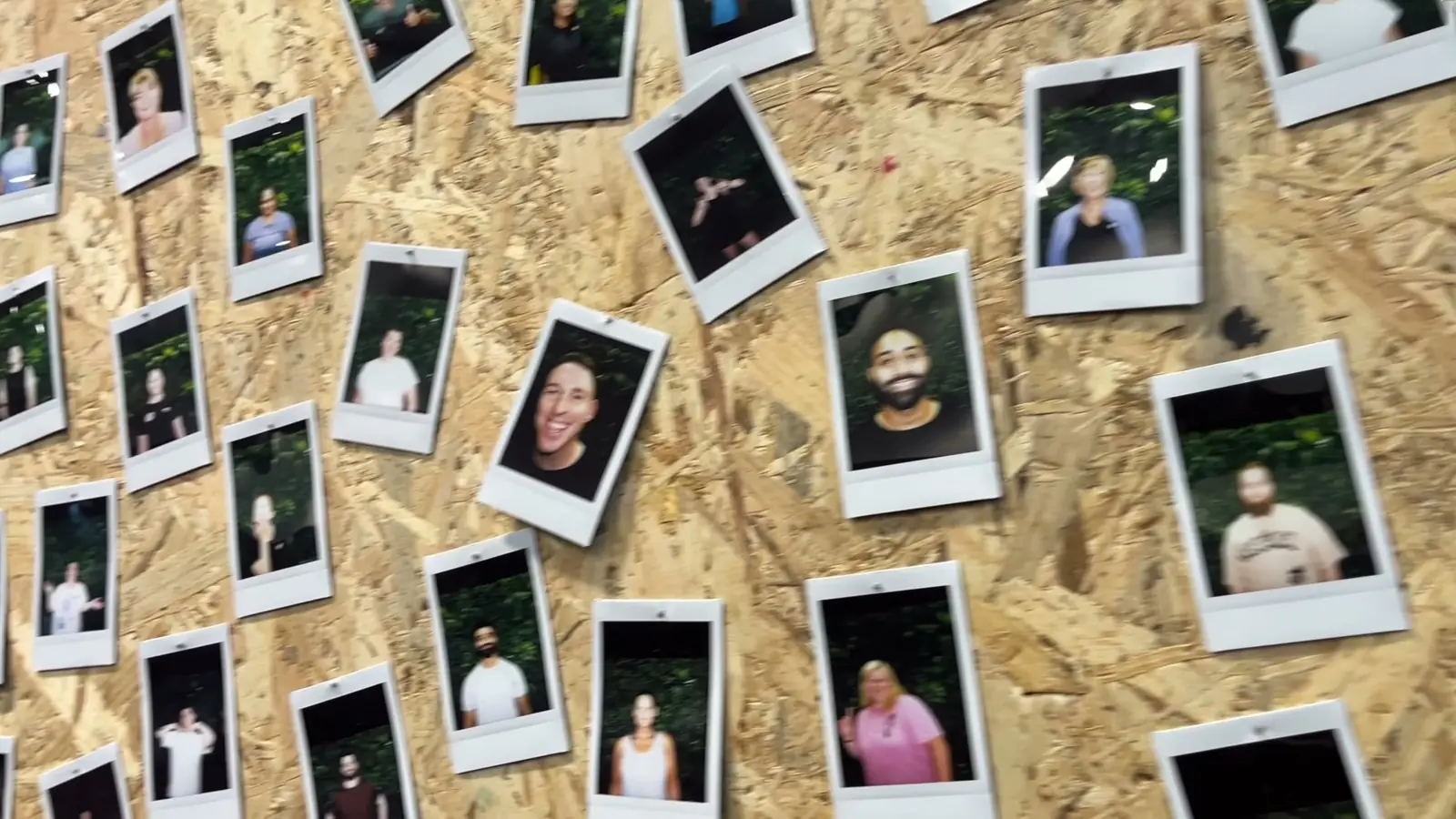 The Hōm wall of polaroid photos of members' faces